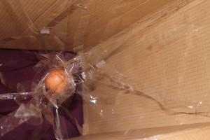 EGG_DROP_BGD008