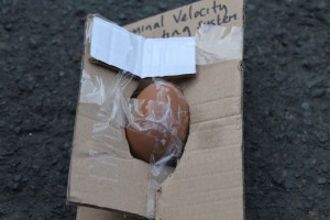 EGG_DROP_BGD045
