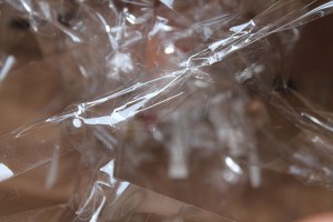 EGG_DROP_BGD051
