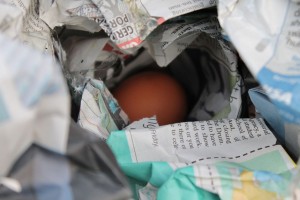 EGG_DROP_BGD054