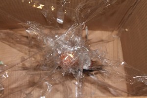 EGG_DROP_BGD070